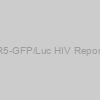 Rev-A3R5-GFP/Luc HIV Reporter Cells